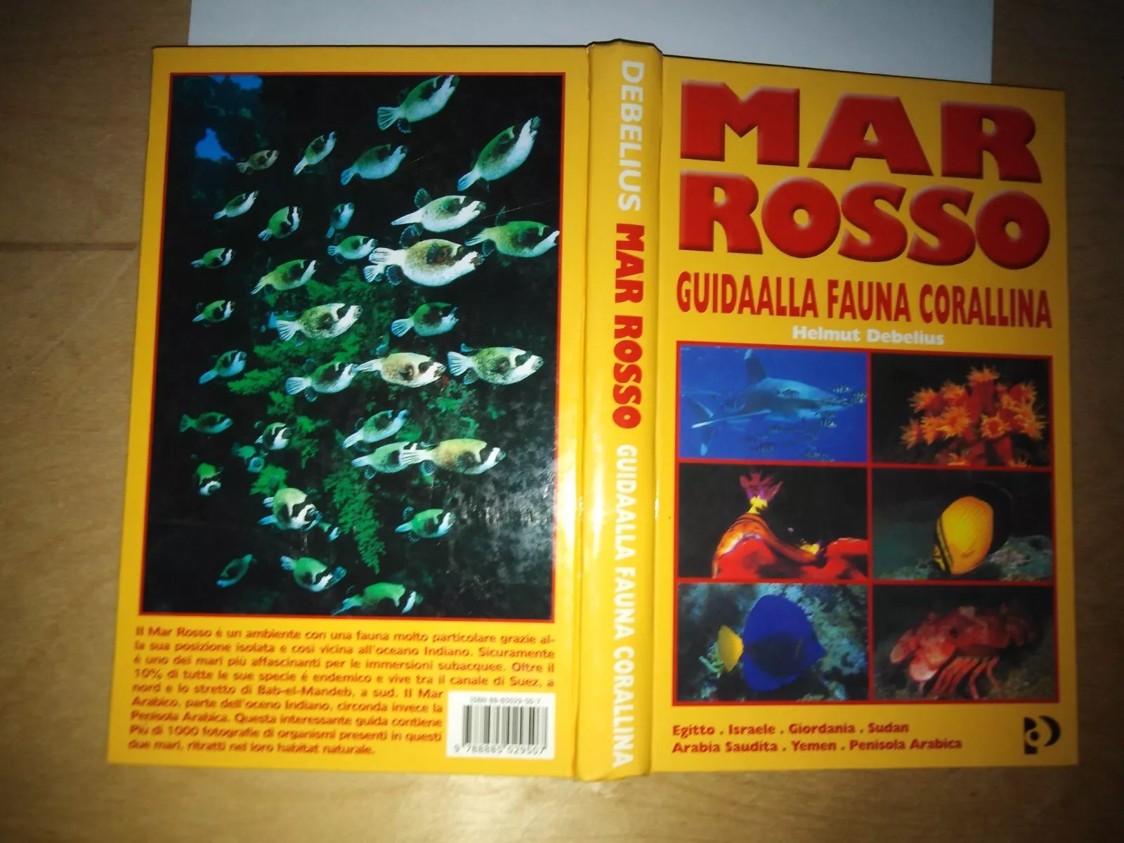 Mar Rosso. Guida alla fauna corallina