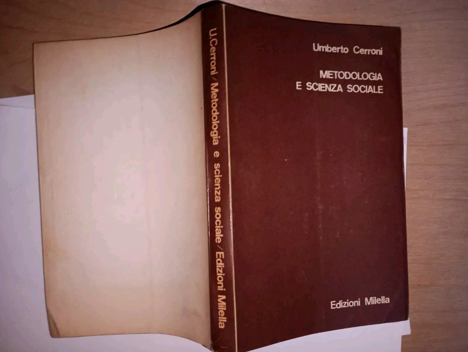 metodologia e scienza sociale