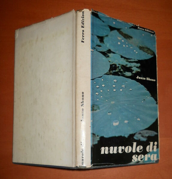 Nuvole di sera