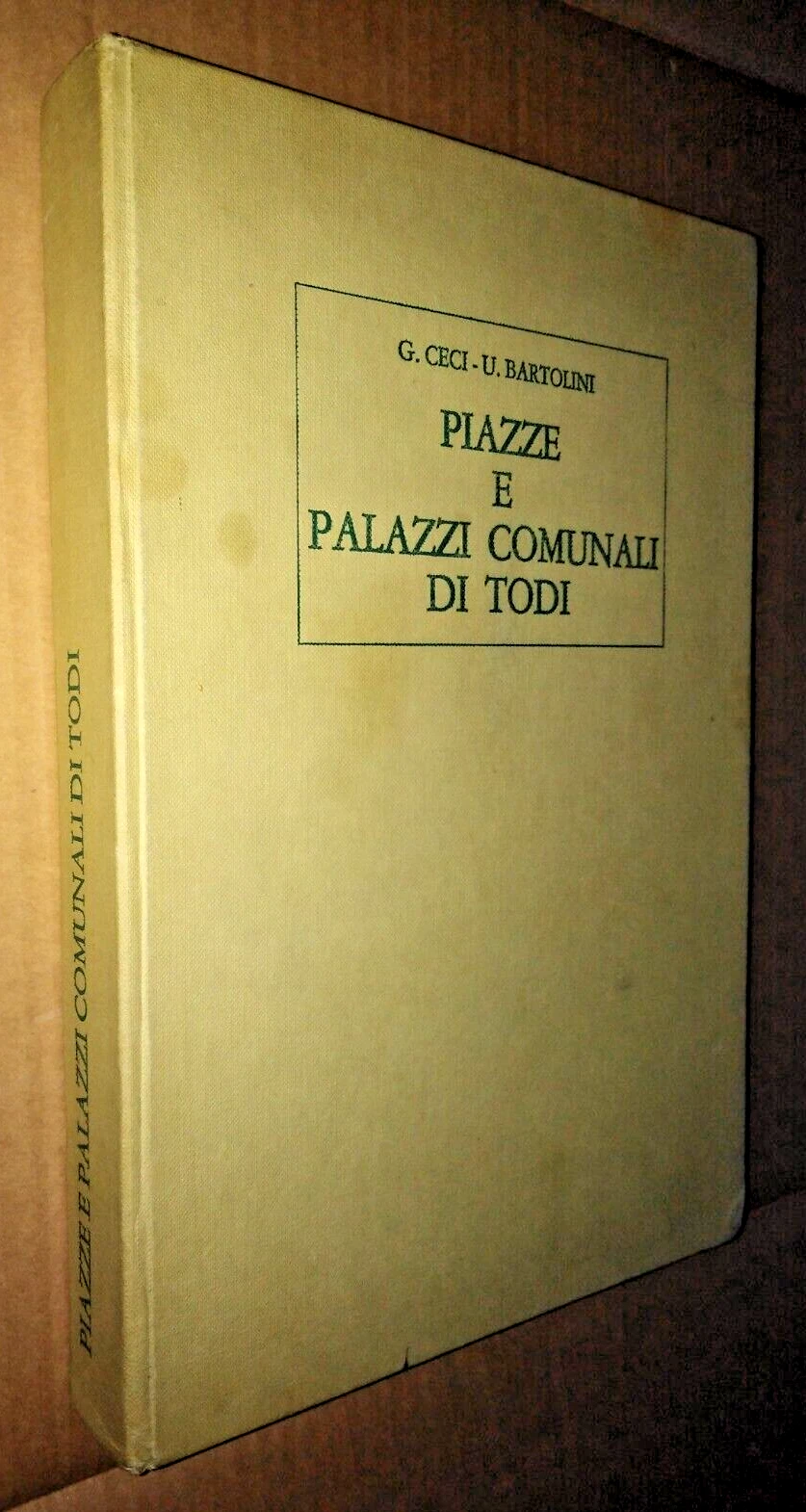 PIAZZE e PALAZZI COMUNALI di TODI