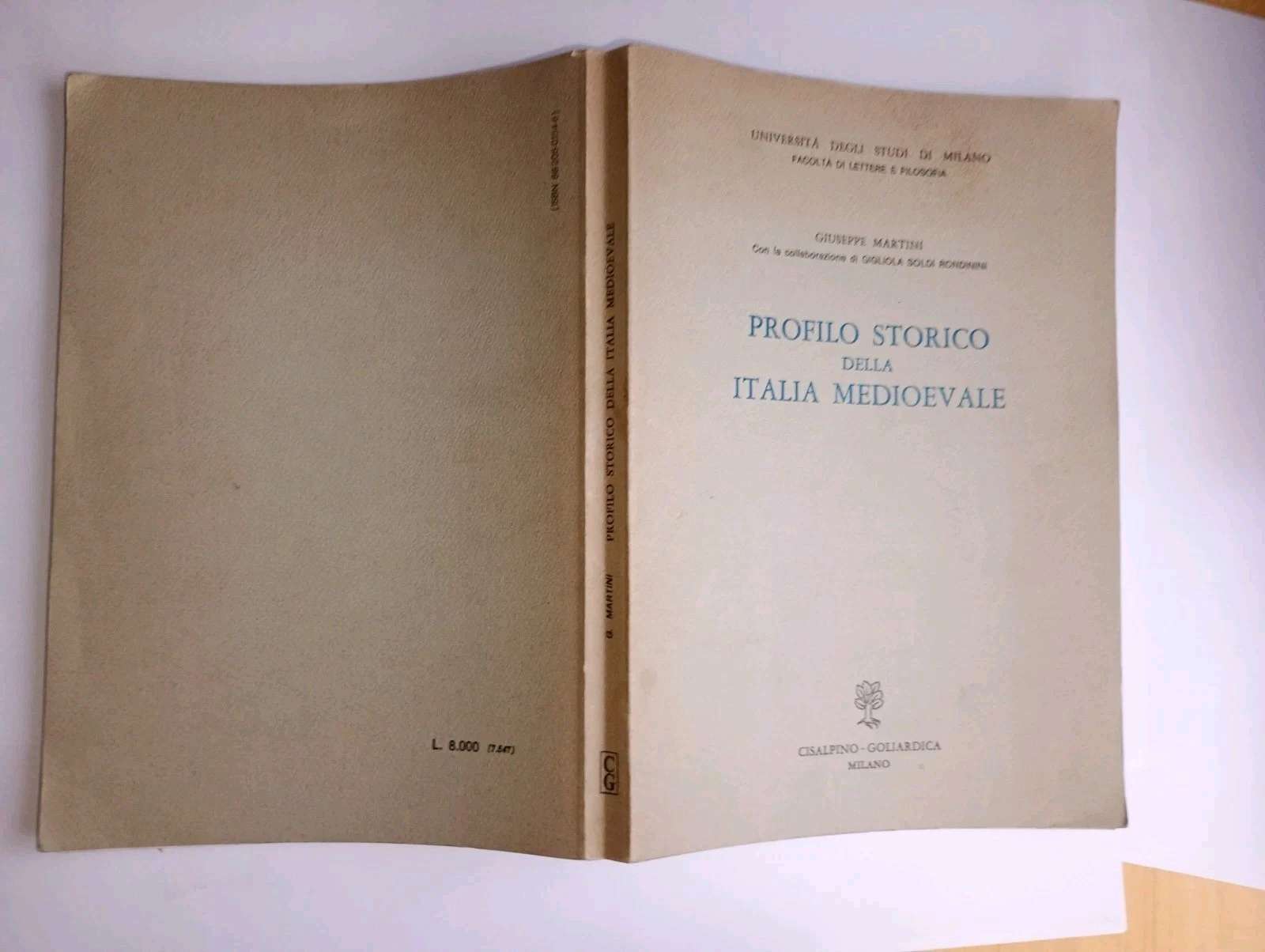 Profilo storico della Italia Medioevale