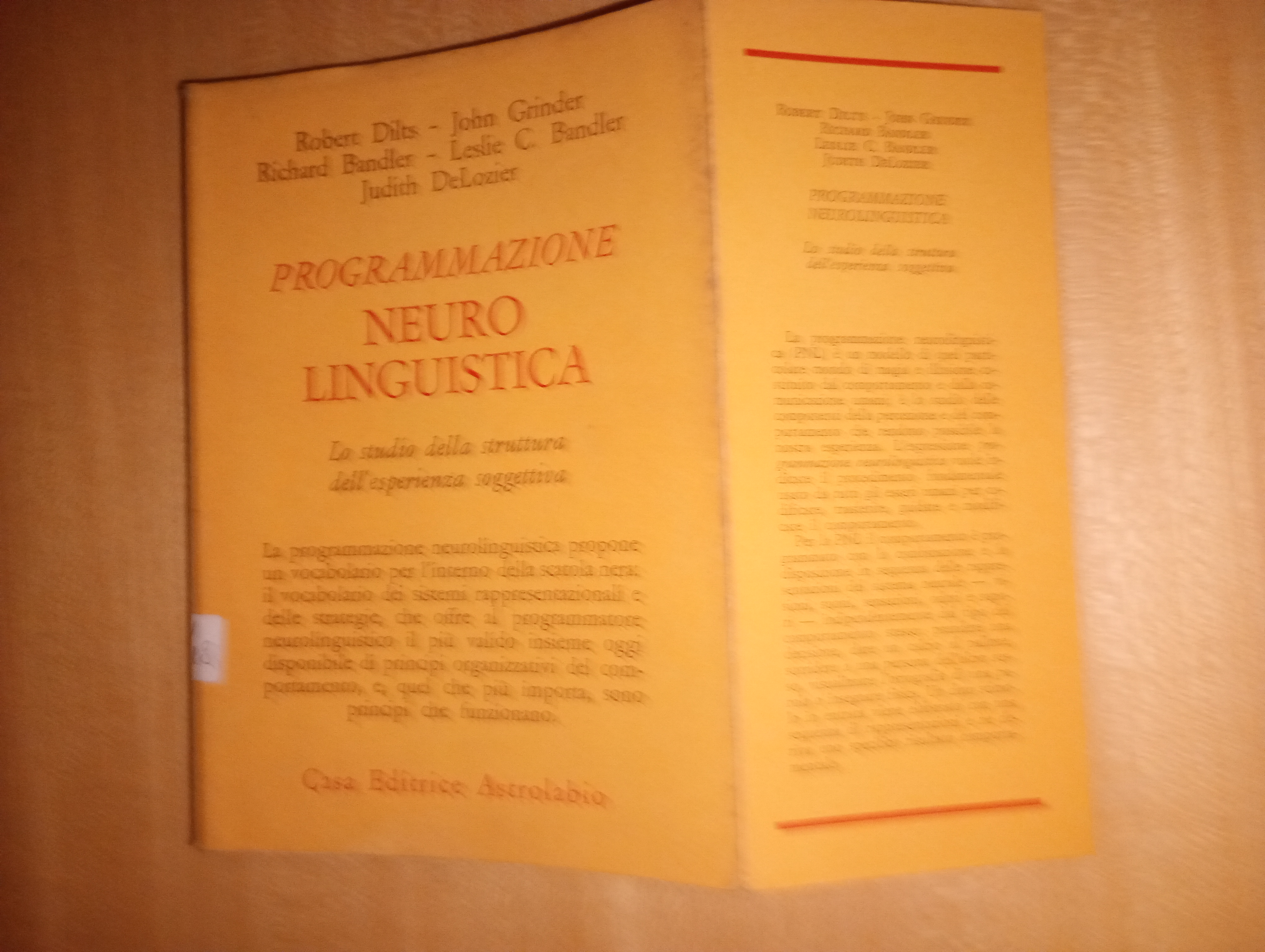 programmazione neurolinguistica. lo studio della struttura dell'esperienza soggettiva