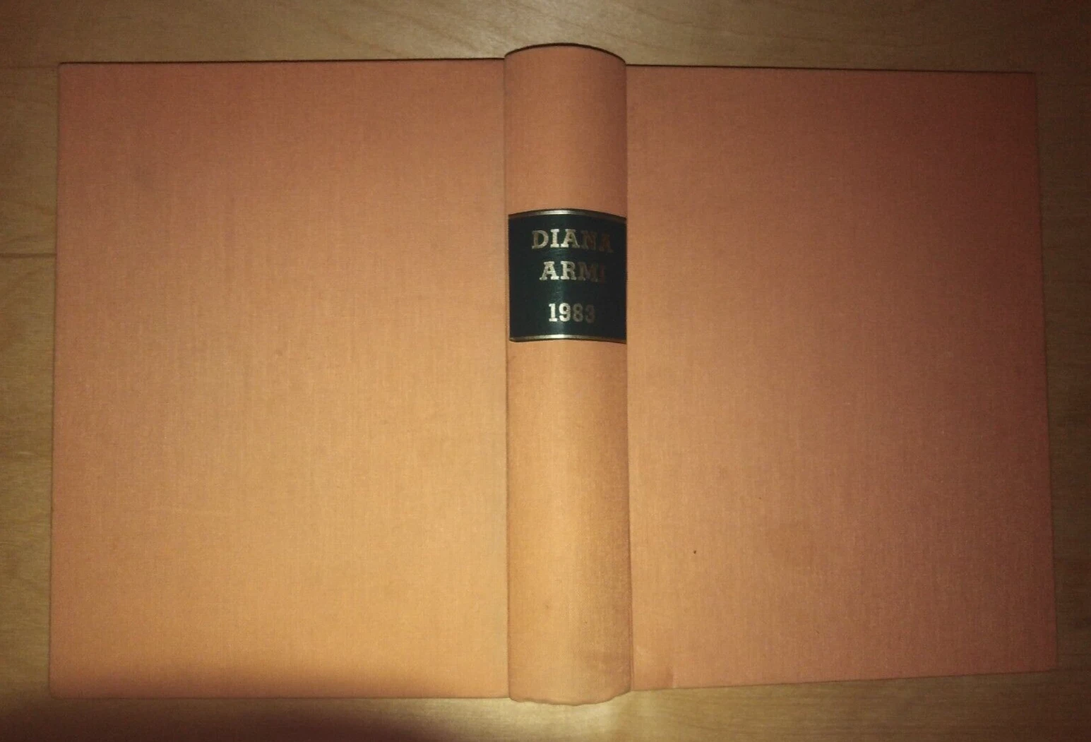 rivista DIANA ARMI - 12 numeri del 1983 rilegati in …