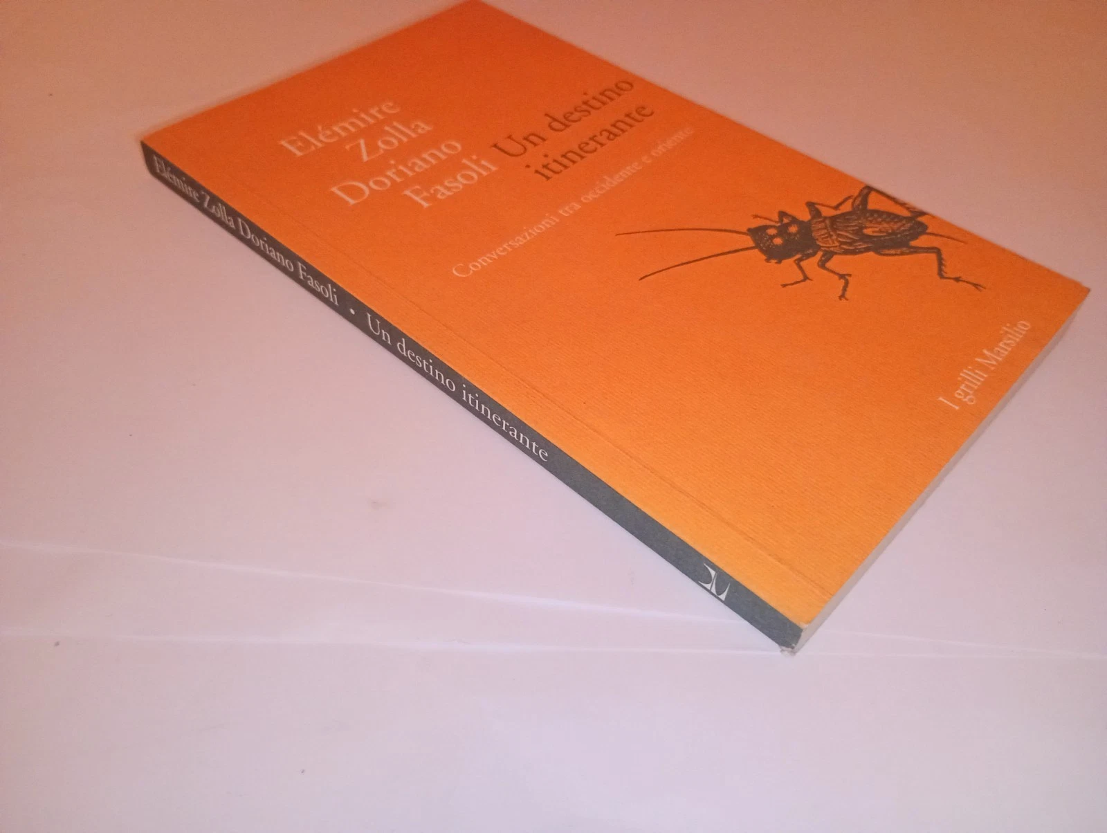Un destino itinerante. Conversazioni tra occidente e oriente