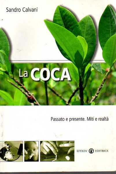 La coca. Passato e presente. Miti e realtà