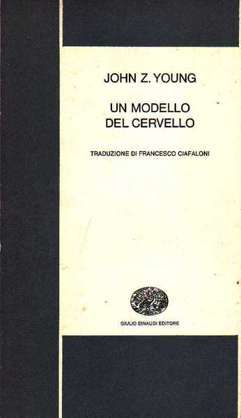 Un modello del cervello.