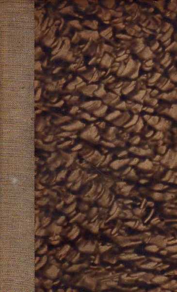 La giornata d'Adua (1896)