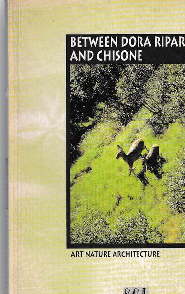 Between Dora Riparia and Chisone. Art Nature Architecture