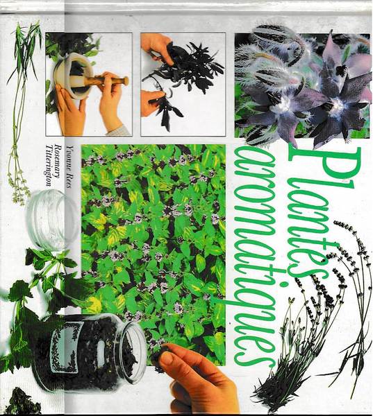 Plantes Aromatiques