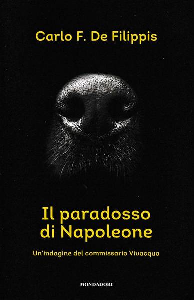 IL PARADOSSO DI NAPOLEONE