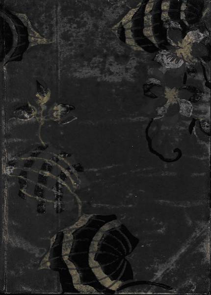 Colomba Traduzione di B. Dell'Amore