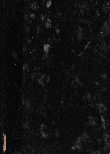 IL VALORE ITALIANO Volume primo