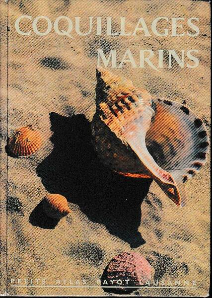 Coquillages marins. Coquilles des principales espèces de Gastéropodes et de …