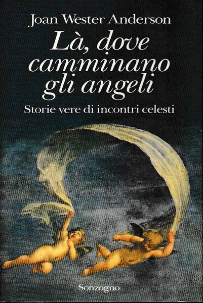 Là, dove camminano gli angeli - Storie vere di incontri …