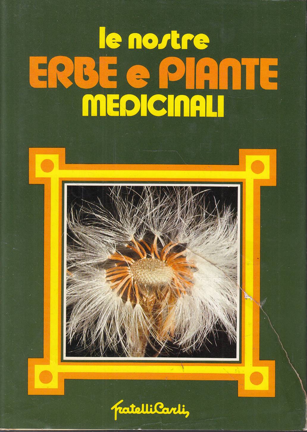 Le nostre erbe e piante medicinali