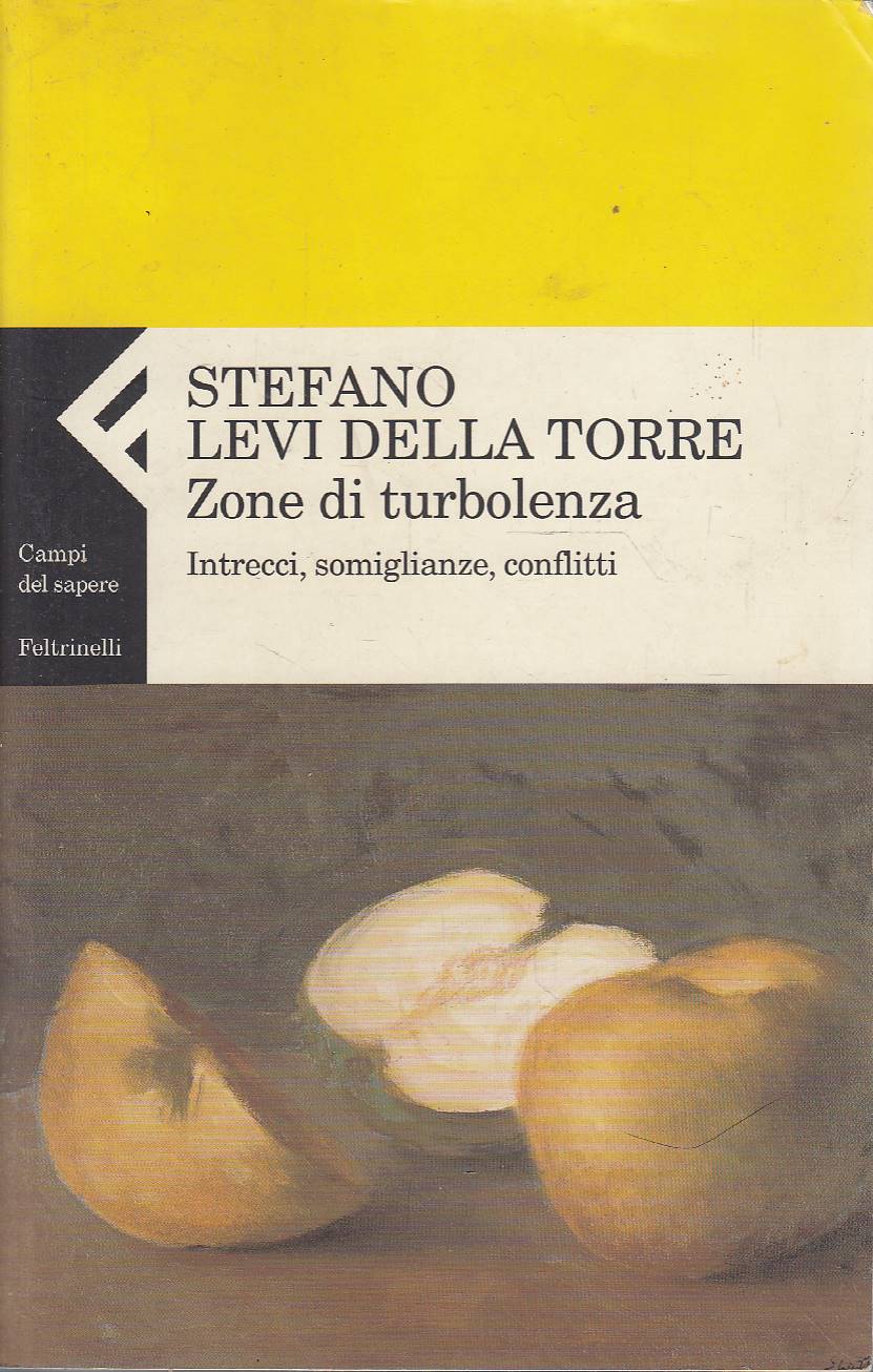 Zone di turbolenza. Intrecci, somiglianze, conflitti