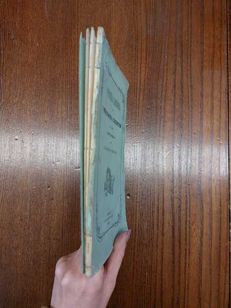 I fratelli Bandiera o i massacri cosentini del 1844. Racconto …