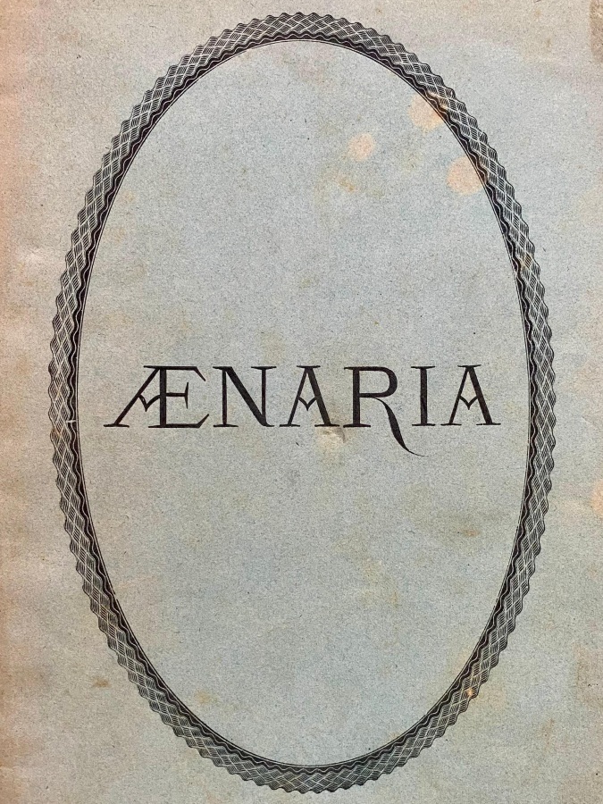 Aenaria. Strenna di carità a benefizio dei danneggiati dal tremuoto …