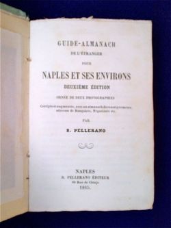 Guide-Almanach de l'etranger pour Naples et ses environs. Deuxième édition …