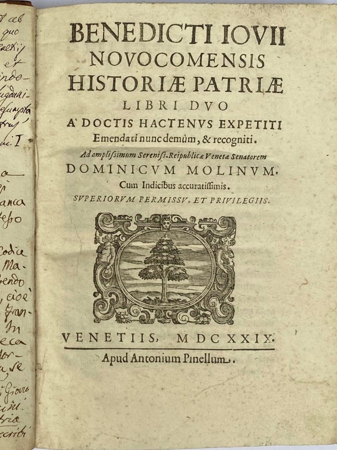 Historiae Patriae libri duo.