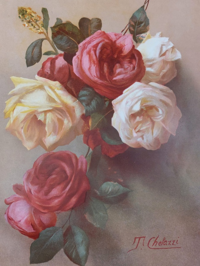 I fiori. Quaranta tavole originali di Tito Chelazzi e Arnaldo …