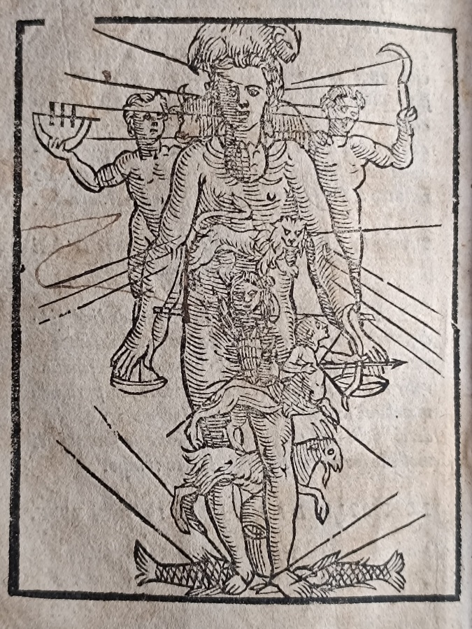 Libro intitulato il perché, tradotto di latino in italiano [.] …