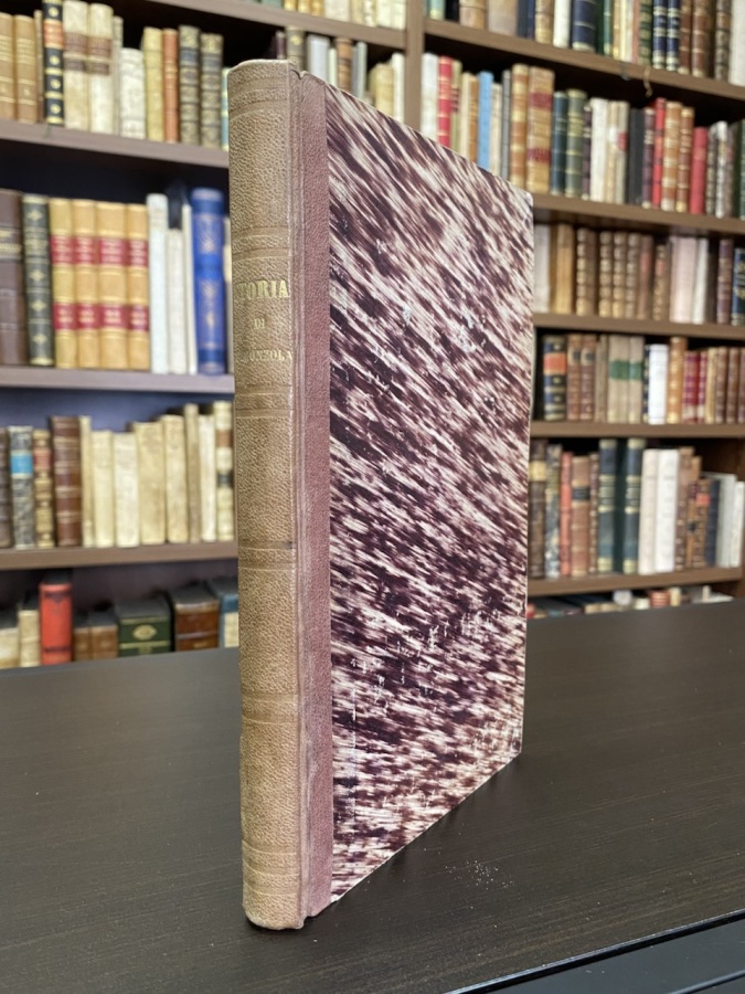 Melzo e Gorgonzola e loro dintorni. Studi storici con documenti …