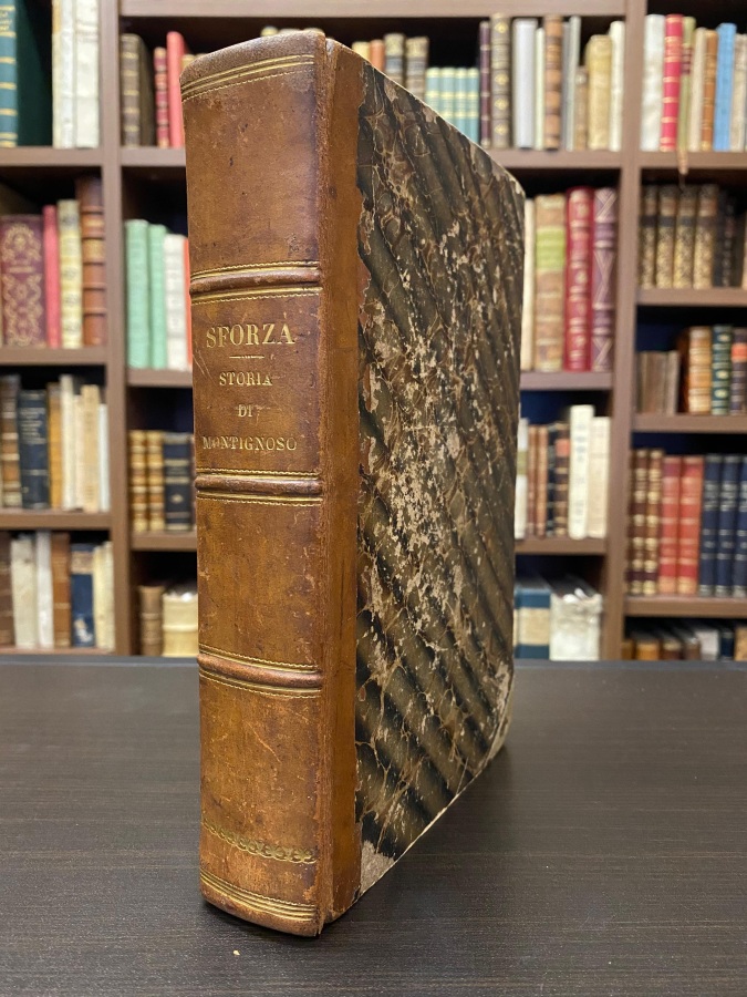 Memorie storiche di Montignoso.