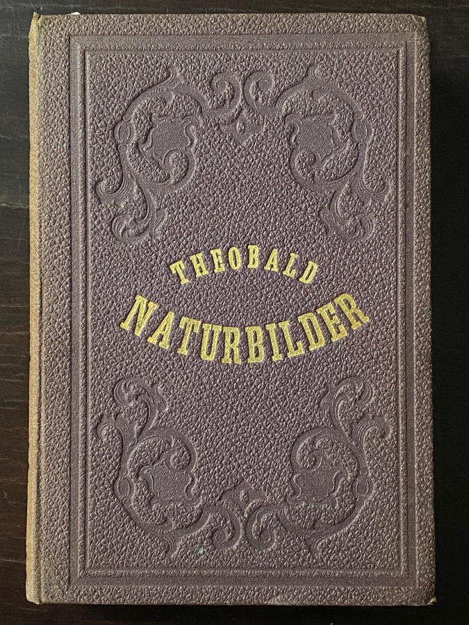 Naturbilder aus den Rhatischen Alpen. Ein Fuhrer durch Graubunden.