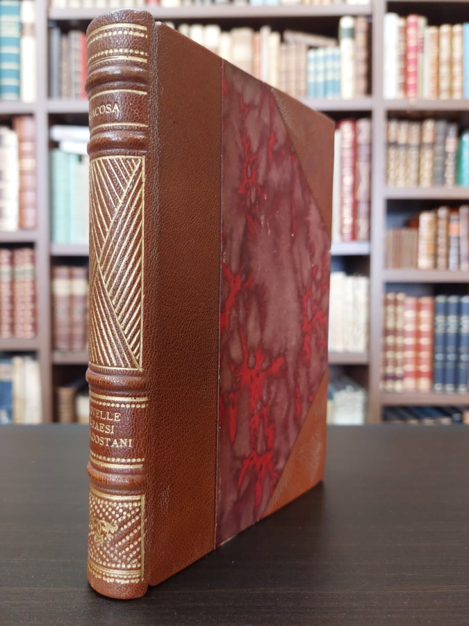 Novelle e paesi valdostani.