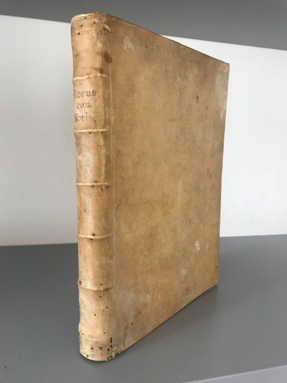 Rerum Romanarum epitome. Interpretatione et notis illustravit Anna Tanaquilli Fabri …