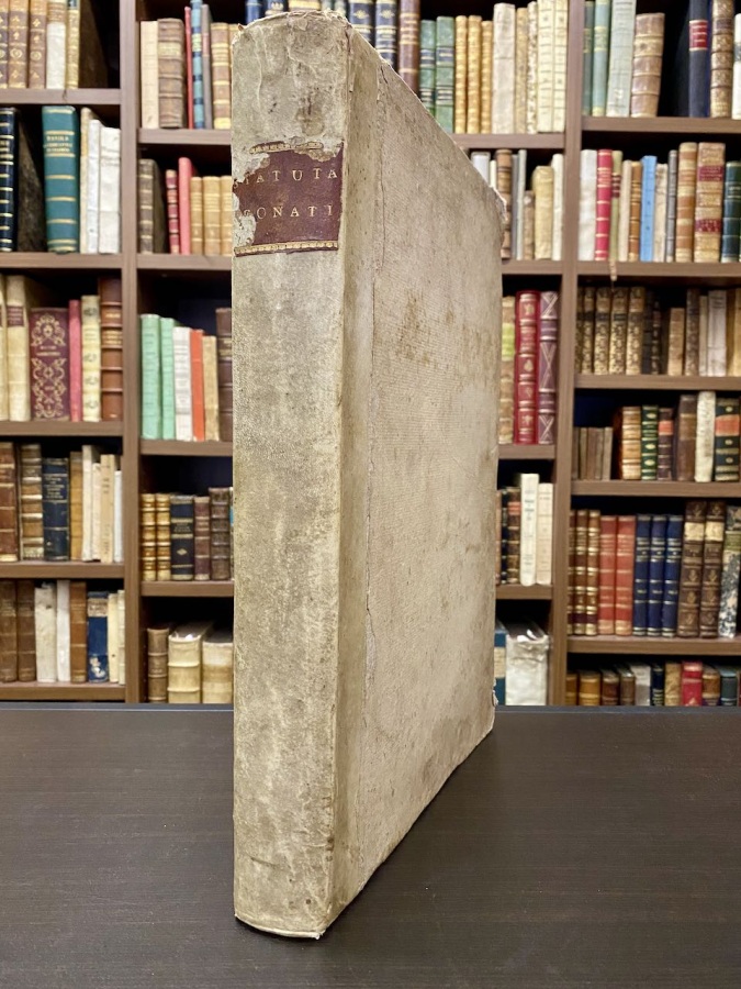 Statuta civilia et criminalia Communitatis Leonati [.].