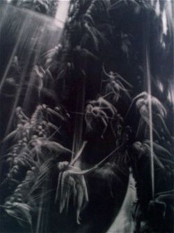 The poetical works [.] etchings mezzotints and copper engravings by …