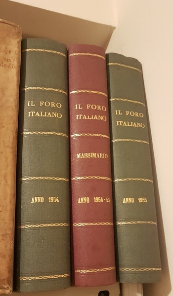 IL MASSIMARIO DEL FORO ITALIANO