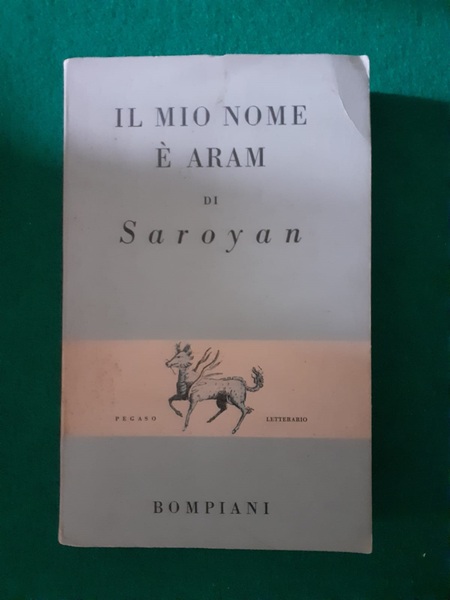 IL MIO NOME E' ARAM