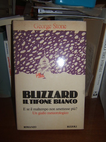 BLIZZARD IL TIFONE BIANCO. E SE IL MALTEMPO NON SMETTESSE …