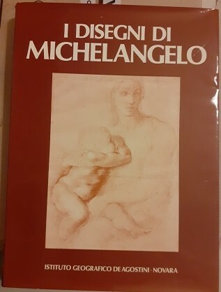 I DISEGNI DI MICHELANGELO