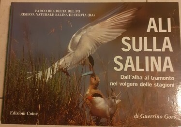 ALI SULLA SALINA DALL'ALBA AL TRAMONTO NEL VOLGERE DELLE STAGIONI