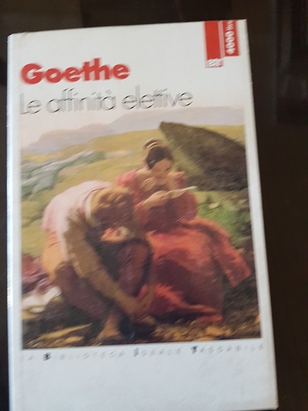 LE AFFINITA' ELETTIVE