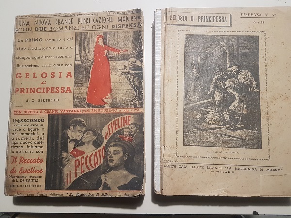 GELOSIA DI PRINCIPESSA IL PECCATO DI EVELINE TU SEI L'AMORE …