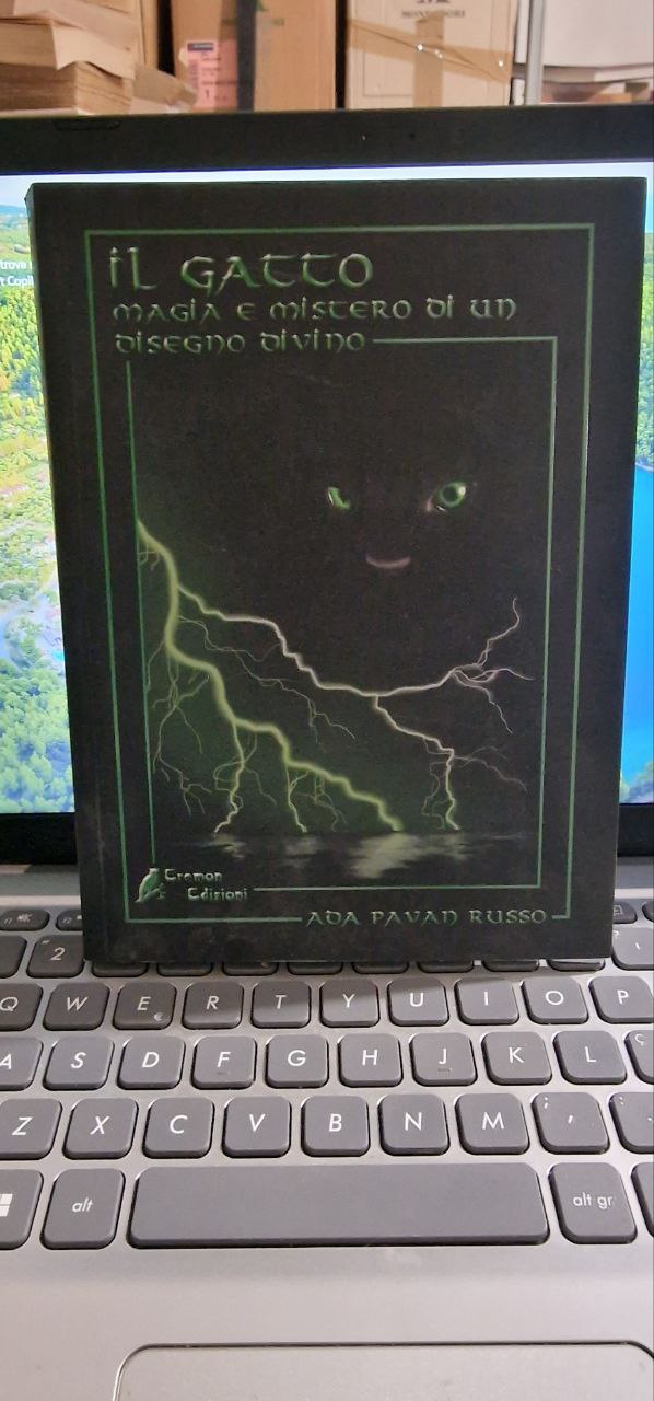 IL GATTO MAGIA E MISTERO DI UN DISEGNO DIVINO