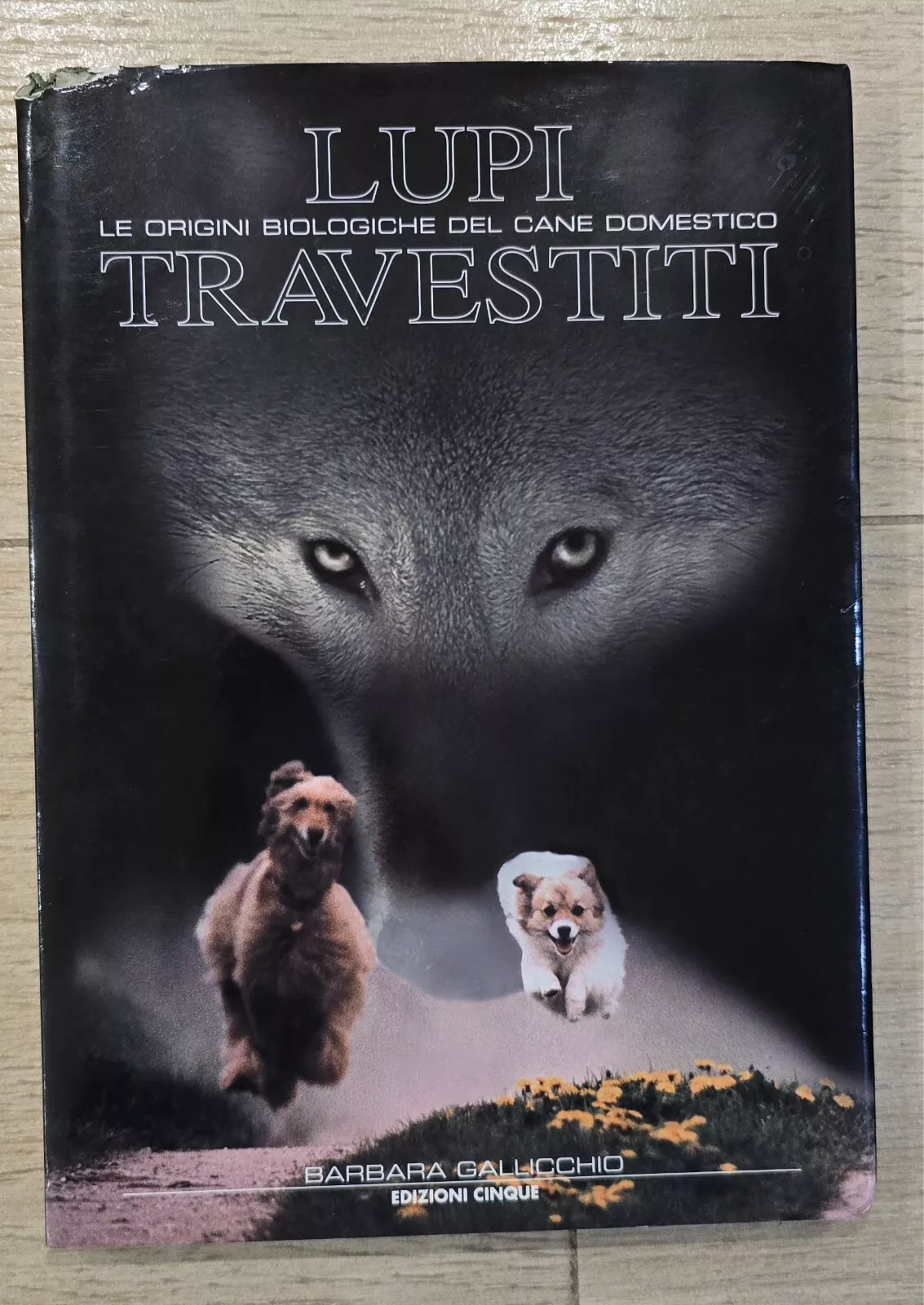 Lupi Travestiti prima edizione copertina rigida sovraccoperta Barbara Gallicchio