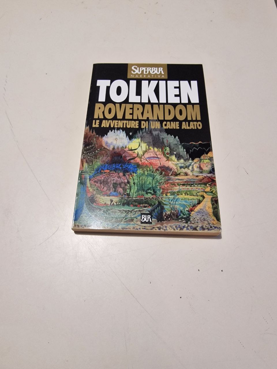 ROVERANDOM LE AVVENTURE DI UN CANE ALATO