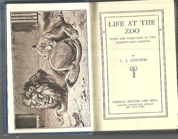 LIFE AT THE ZOO. NOTES AND TRADITIONS OF THE REGENT'S …