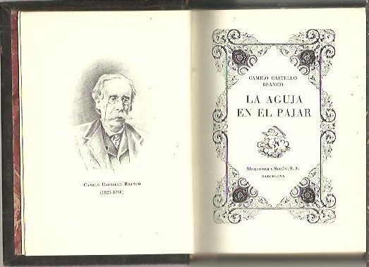 LA AGUJA EN EL PAJAR.