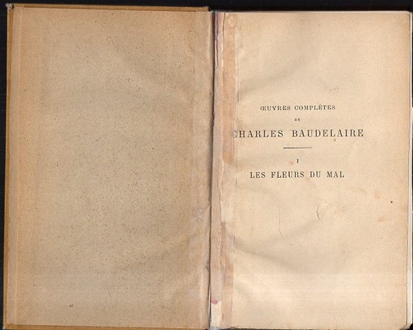 LES FLEURS DU MAL.
