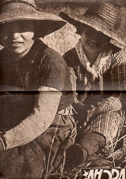 AHORA. DIARIO DE LA JUVENTUD. AÑO VIII. N. 208. 24-AGOSTO-1937.