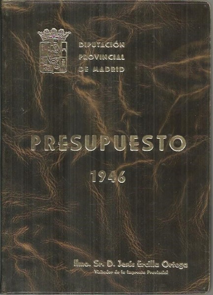 PRESUPUESTO ORDINARIO DE GASTOS E INGRESOS PARA EL EJERCICIO DE …