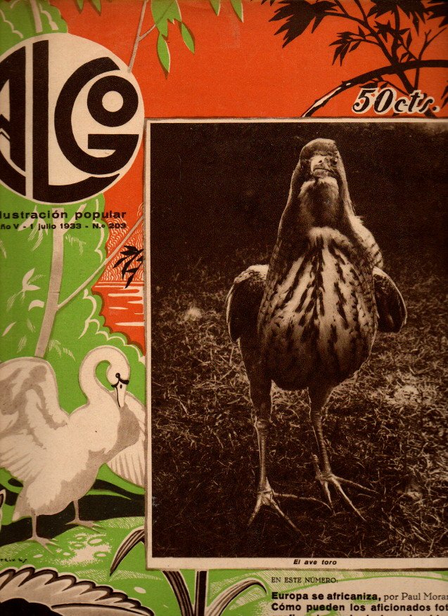 ALGO. AÑO V. NUM. 203. 1 DE JULIO DE 1933.