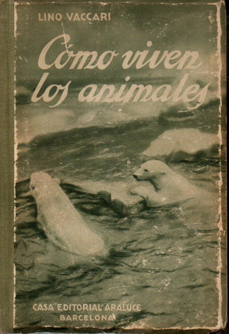 COMO VIVEN LOS ANIMALES. BIOLOGIA Y MORFOLOGIA ANIMAL.